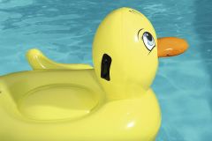 Bestway Ördek Binici 135x91 Cm 41102