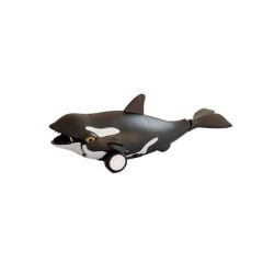 H-35 - SÜRTMELİ DENİZ HAYVANLARI 16'LI STAND