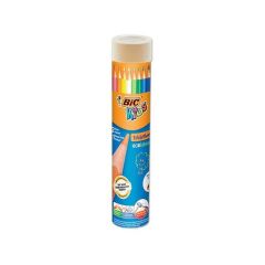 Bic Evolution Kuru Boya Kalemi 12+1