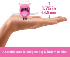Barbie HYF40 | Mini BarbieLand Dreamplane