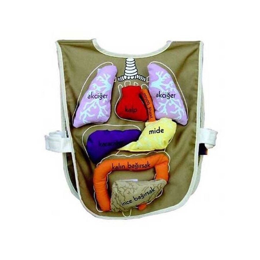 Organ Önlüğü (45x37x2 Cm)