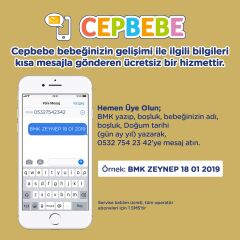 Bebelac Gold Bebek Devam Sütü No1 350gr