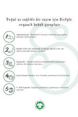 Bistyle 5'li Penye Soket Kutulu Basic Çorap 10131 Pudra