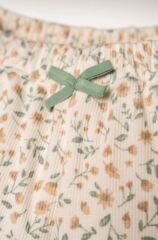 U.S. Polo Şortlu Takım USB2982 Yeşil