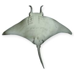 Hayvan Figürleri - Deniz Hayvanları 14 cm - Vatoz