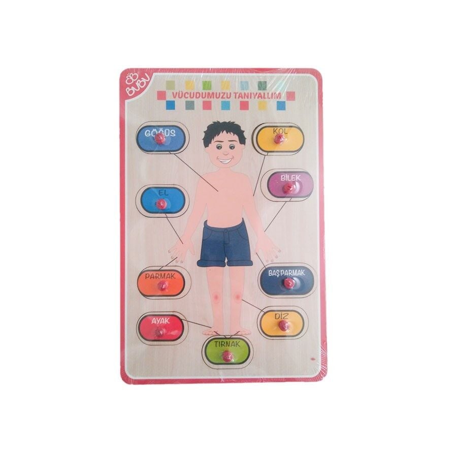Bu-Bu Ahşap Puzzle Vücudumuzu Tanıyalım