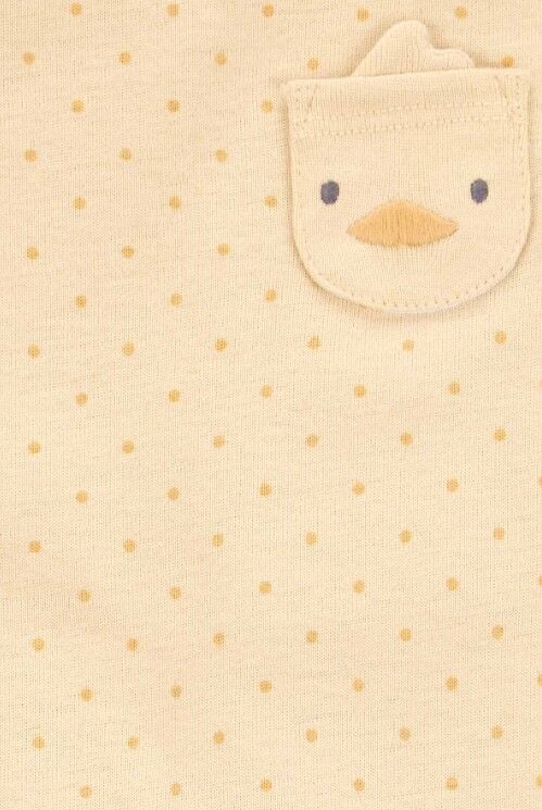 Carters Layette Kız Bebek Kısa Kollu 5li Body 1T010410 Renkli