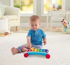 Fisher Price Klasik Ksilofon CMY09