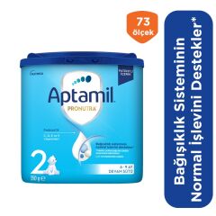 Aptamil Devam Sütü Maması No2 6-9 Ay 350 Gr