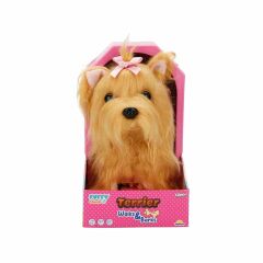 Sevimli Köpek Terrier