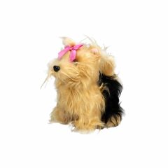 Sevimli Köpek Terrier