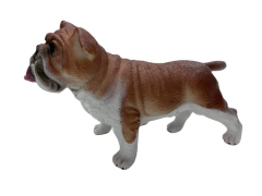 Soft Köpekler - Amerikan Bulldog Cinsi Köpek - E013