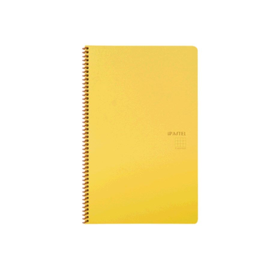 Pastel Çizgili Spiralli Pp Kapak 80 Yaprak Note De