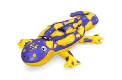 41502 - KERTENKELE BİNİCİ 191 X 119 CM