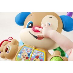 Fisher Price Eğitici Köpekçik Yürüteç (Türkçe) FTG10