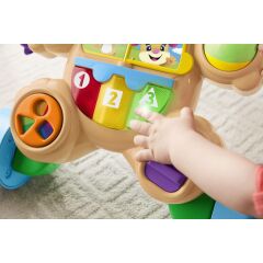 Fisher Price Eğitici Köpekçik Yürüteç (Türkçe) FTG10