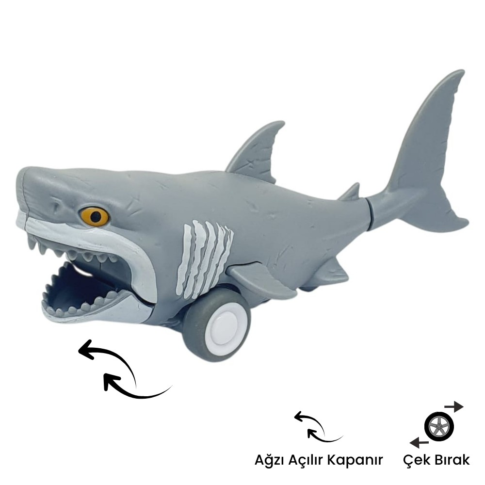 Sürtmeli Hayvanlar Serisi - H-53 - Köpekbalığı