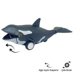 Sürtmeli Hayvanlar 2'li - Yunus Balığı Ve Orka Balina