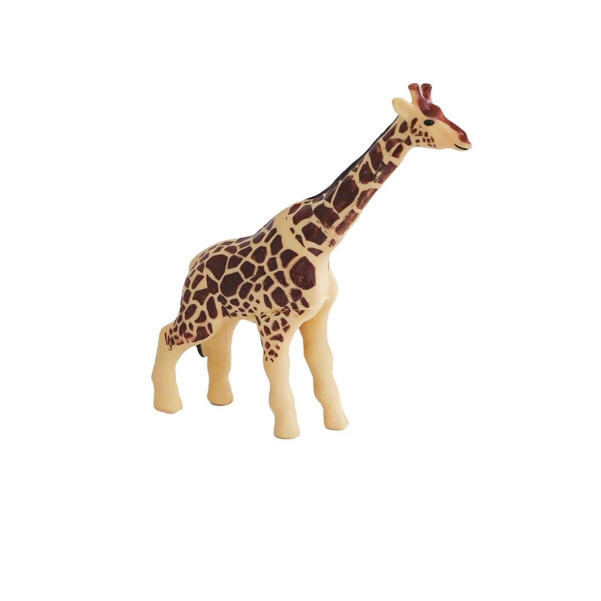 Soft Hayvan