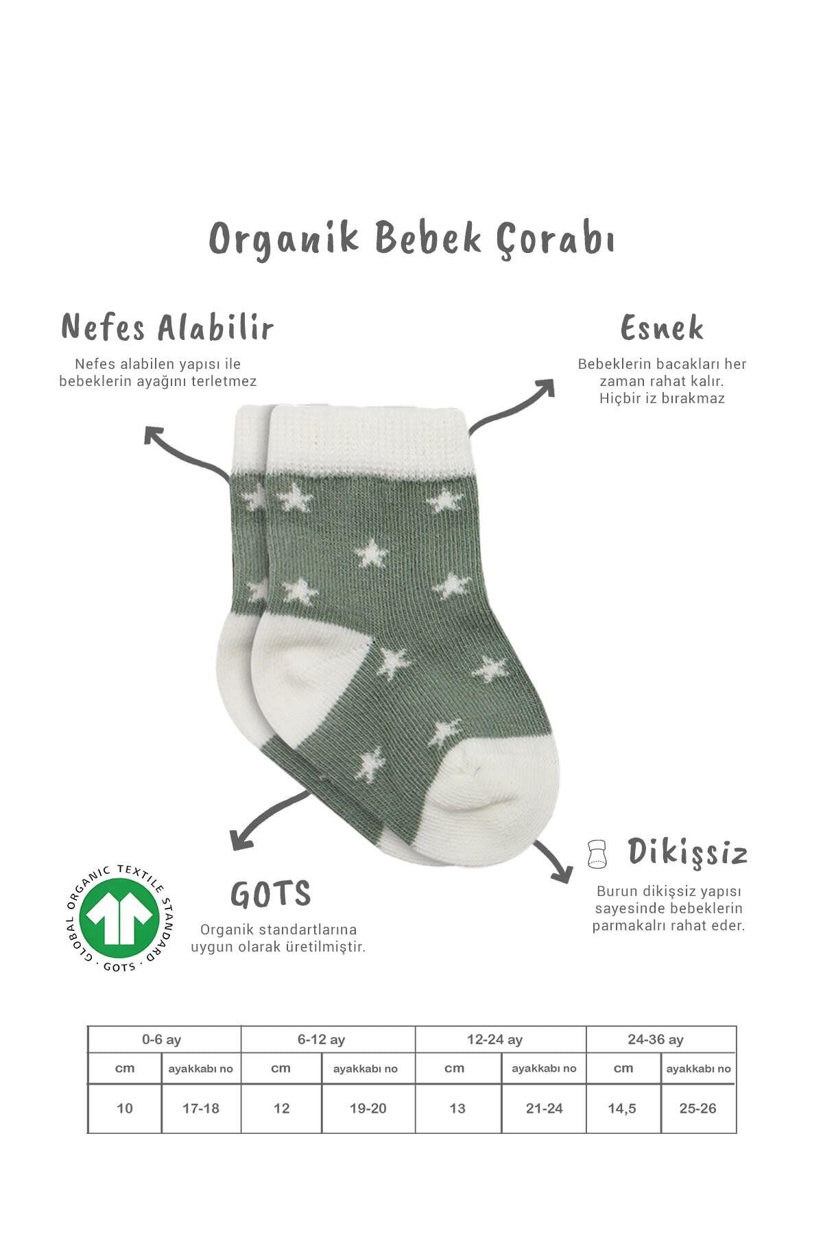 Bistyle 3’Lü Penye Cute Stars Soket Çorap BS10115 Nil