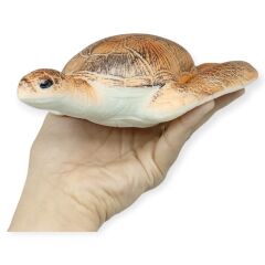 Deniz Hayvanları Serisi - Caretta Caretta 22 cm